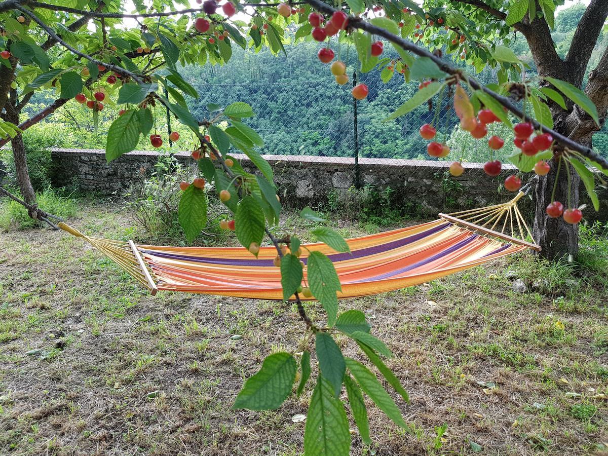 Guest House Il Giardino Colle Val D'Elsa Esterno foto